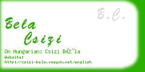 bela csizi business card